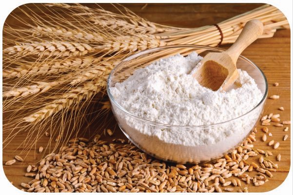 Wheat Flour